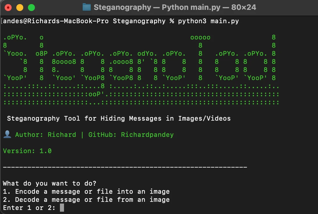 Steganography